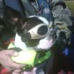 Oreo  Taking A Boat Ride 